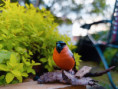 /album/fotogalerie-moje-outside-prace-/martinh-collection-outdoor-08-25-9-jpg/